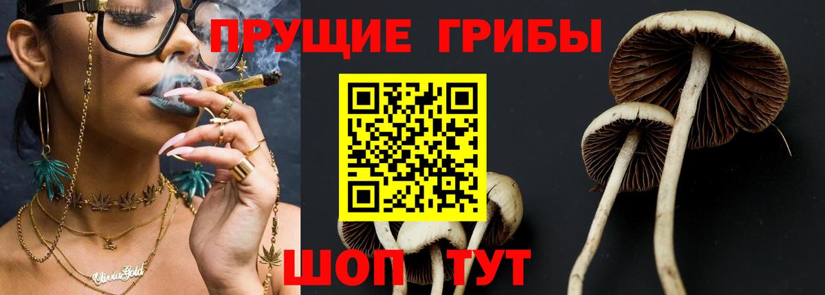 Казань  Псилоцибиновые грибы мухоморы  Вход с VPN 